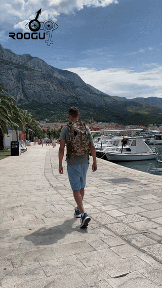 Zaino da uomo Land Turtle da 30 litri, mimetico militare, portatile tattico.