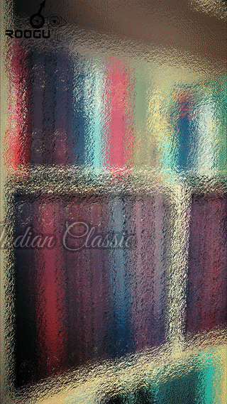 Indien Klassik * Akten Ordner 4 Ringe A4 Echtes Leder Handmade