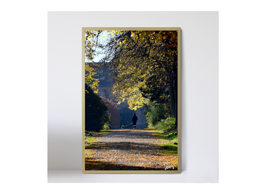 The Golden Friendship * Holz-Foto-Bild  40x60cm Kunst Fotografie Wandkunst Wandbild