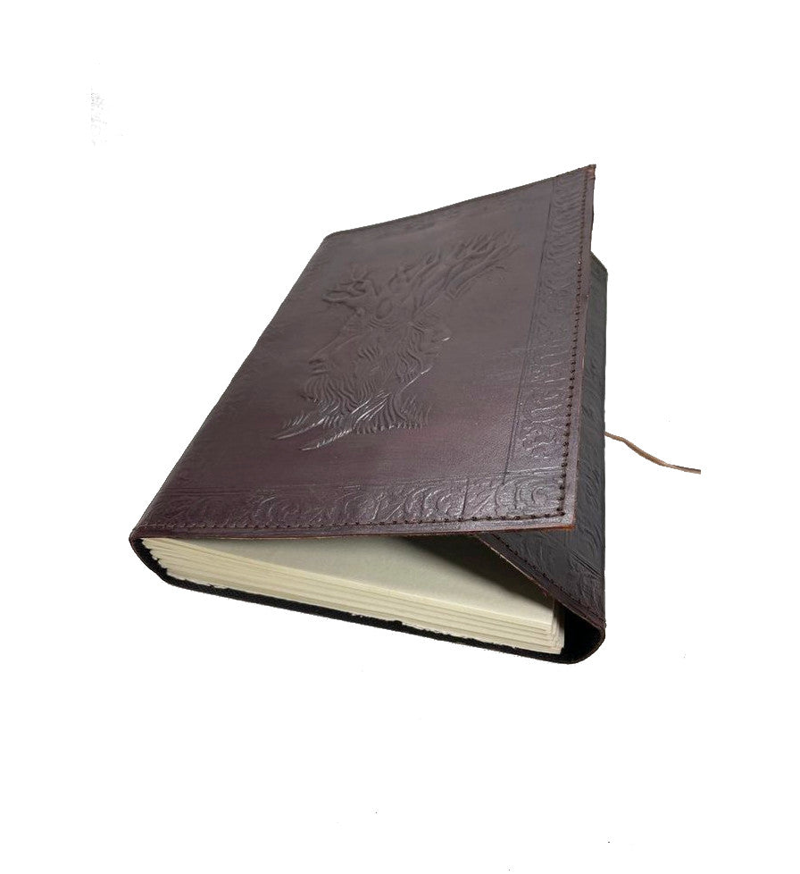 Herbier * XXL Cuir Jour- Note- Sketch- Livre d'or Antique Vintage Inde