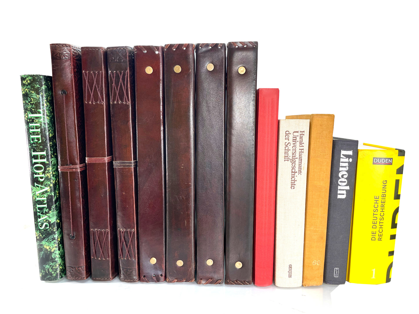 Herbario * Carpeta de archivos 4 anillos A4 Cuero Hecho a mano India Flores Prado