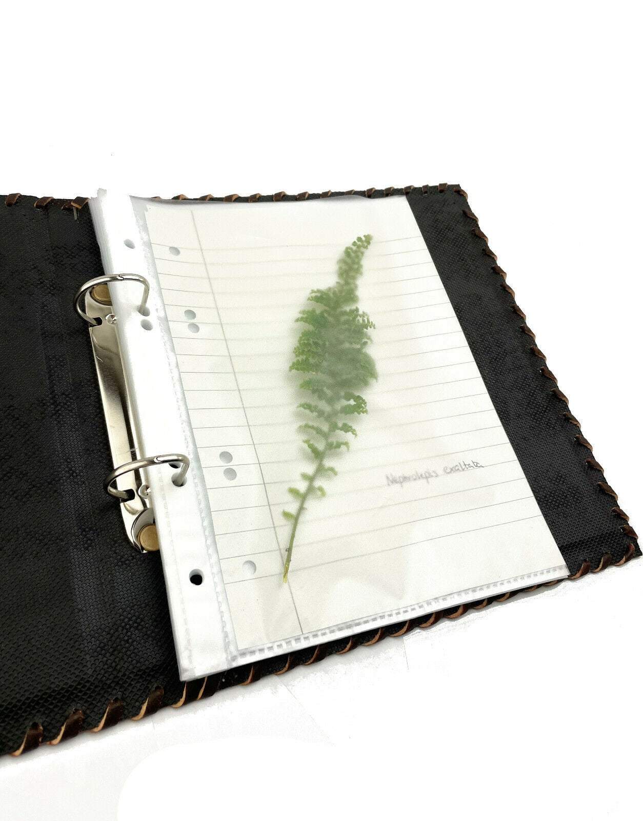 Herbarium * Akten Ordner 2 Ringe DIN A5 Echtes Büffel Leder Handmade Indien