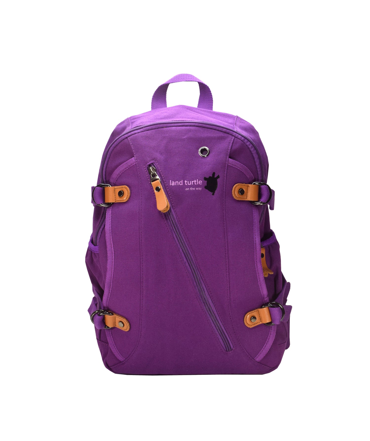 Land Turtle deep purple