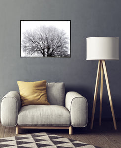 Tree of Wisdom  * Wood Print 40x60cm Art Photography Wall Art Wall Picture Aluminum Frame