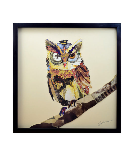 Œuvre d'art en 3D fait à la main * Collage Cadre Art Image Murale Hibou Lin Aigle Uniforme Militaire