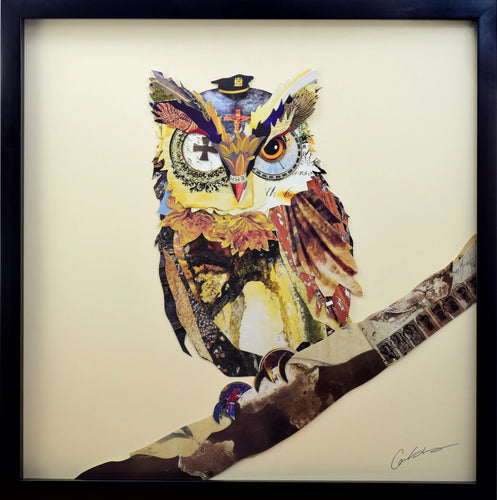 ROOGU The General 3D Art Collage Image Owl Army War Uniform Hunt Wall Picture Framed