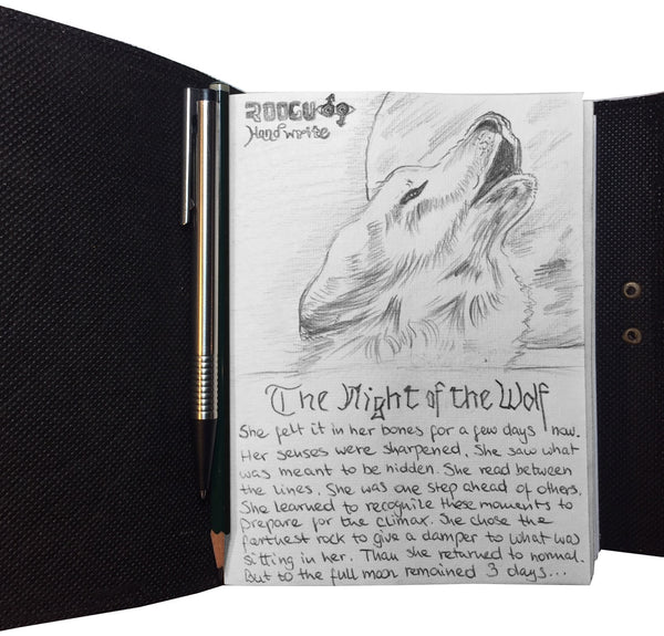 Laden Sie das Bild in den Galerie-Viewer, Die Nacht des Wolfes * Leder Tage- Skizzen- Notizbuch Vintage Handmade
